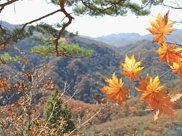 康方生物回应“临床研究用药”疑被卖，一涉事医院已启动自查|界面新闻